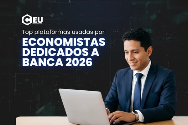 Top plataformas que utilizan los economistas dedicados a banca 2026